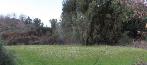 Casa T9 em Fundão, Portugal N.º 87952 13