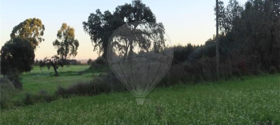 Casa T9 em Fundão, Portugal N.º 87952 18