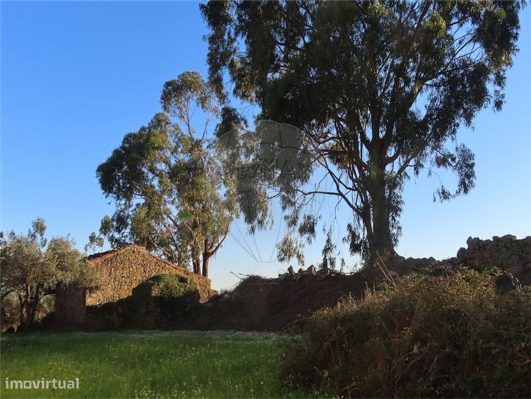 Casa T9 em Fundão, Portugal N.º 87952