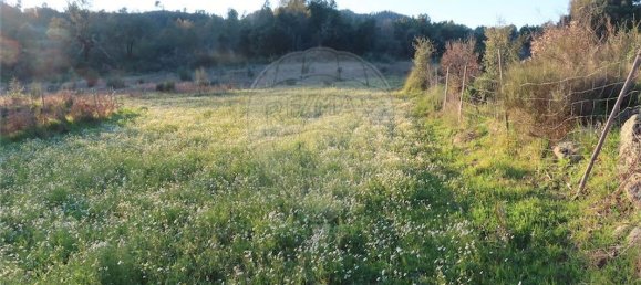 Casa T9 em Fundão, Portugal N.º 87952 4