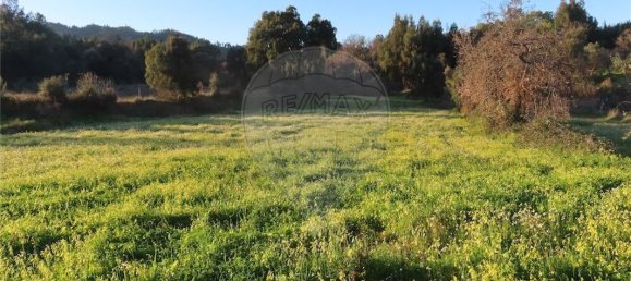 Casa T9 em Fundão, Portugal N.º 87952 3