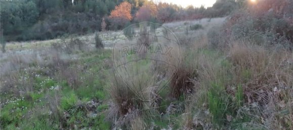 Casa T9 em Fundão, Portugal N.º 87952 6