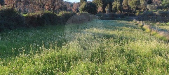 Casa T9 em Fundão, Portugal N.º 87952 21