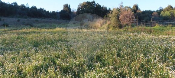 Casa T9 em Fundão, Portugal N.º 87952 5