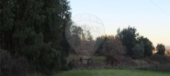 Casa T9 em Fundão, Portugal N.º 87952 17