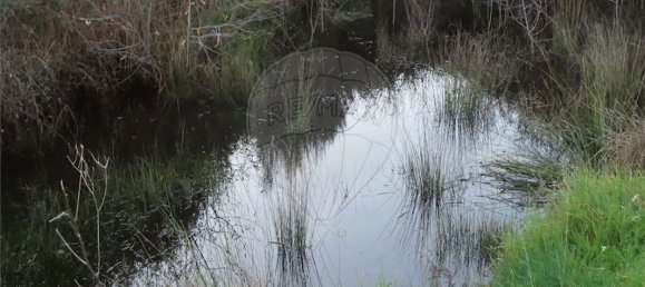 Casa T9 em Fundão, Portugal N.º 87952 16