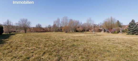 8 rooms Villa in Seefeld-Kadolz, Austria No. 139085 10