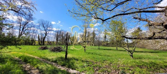 5 Schlafzimmer Haus in Richelieu, France, Nr. 75894 26