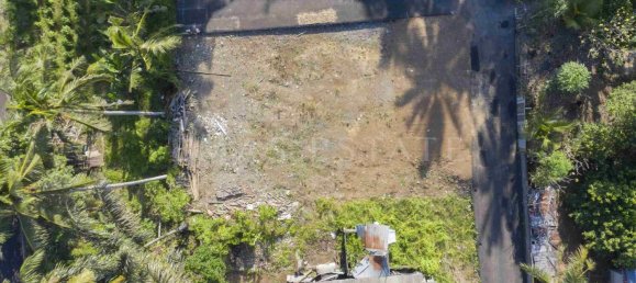  Land in Abiansemal, Indonesia No. 23 6