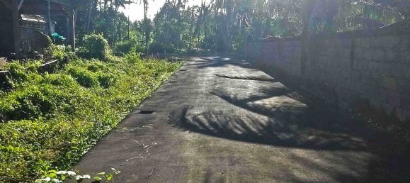  Land in Abiansemal, Indonesia No. 23 2