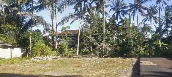  Land in Abiansemal, Indonesia No. 23 7