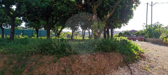 2 bedrooms House in Tomar, Portugal No. 30412 5