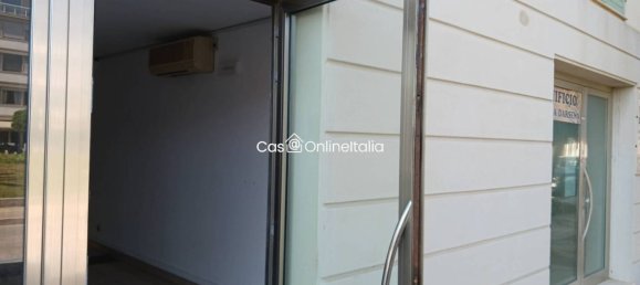3-Zimmer Gewerbliche Immobilie in Camaiore, Italy, Nr. 35765 5