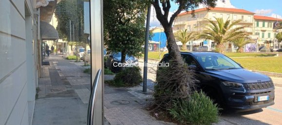 3-Zimmer Gewerbliche Immobilie in Camaiore, Italy, Nr. 35765 3