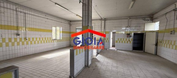 2-salle Propriété commerciale à Cancello ed Arnone, Italy No. 211732 8