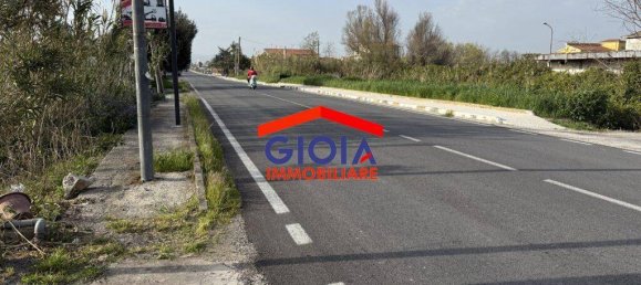 2-salle Propriété commerciale à Cancello ed Arnone, Italy No. 211732 17