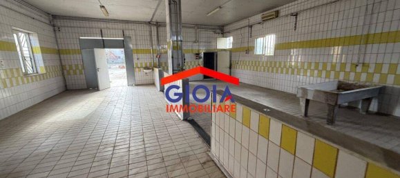 2-salle Propriété commerciale à Cancello ed Arnone, Italy No. 211732 11