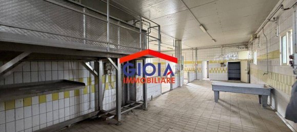 2-salle Propriété commerciale à Cancello ed Arnone, Italy No. 211732 4