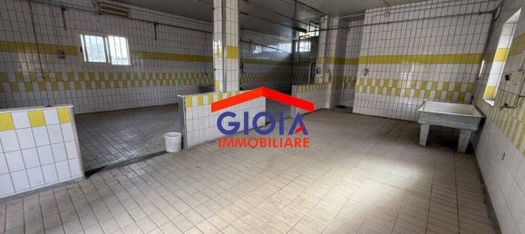 2-salle Propriété commerciale à Cancello ed Arnone, Italy No. 211732 15