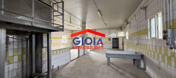 2-salle Propriété commerciale à Cancello ed Arnone, Italy No. 211732 5