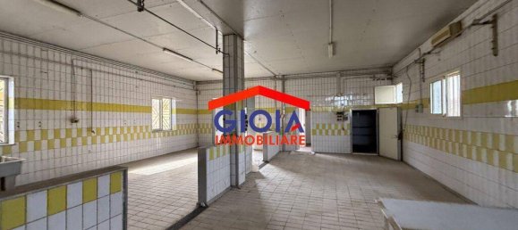 2-salle Propriété commerciale à Cancello ed Arnone, Italy No. 211732 7