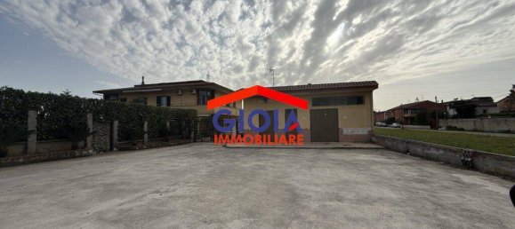 2-salle Propriété commerciale à Cancello ed Arnone, Italy No. 211732 2