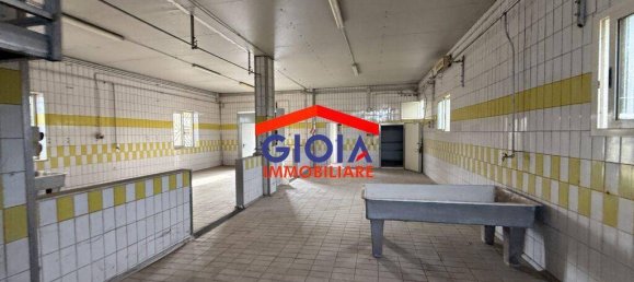 2-salle Propriété commerciale à Cancello ed Arnone, Italy No. 211732 6