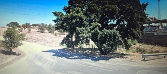  Land in Montijo, Portugal No. 145283 12