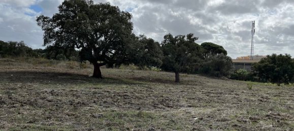  Land in Montijo, Portugal No. 145283 7