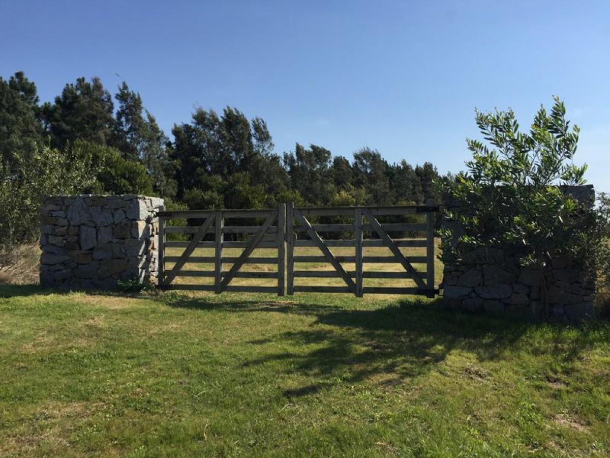  Farm in Maldonado, Uruguay No. 15031