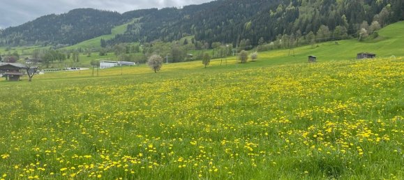 6-Zimmer Haus in Wildschönau, Austria, Nr. 192779 5