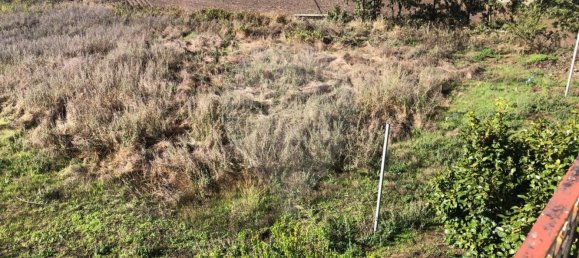 5 bedrooms House in Guarda, Portugal No. 162547 20