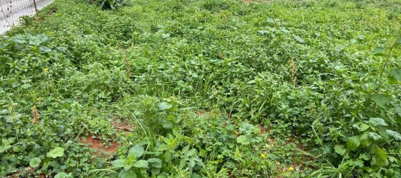 Hotel en Platanias, Greece 200 m² No. 2597 3