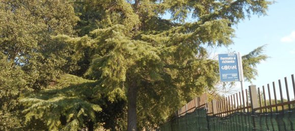 8 غرف نوم فيلا في Vetralla, Italy رقم 121783 34