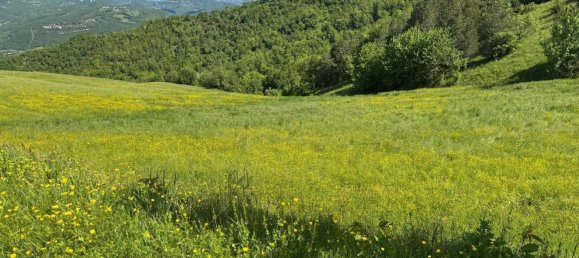 84770m² Land in Montefortino, Italy No. 297440 19