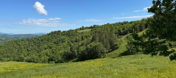 84770m² Land in Montefortino, Italy No. 297440 17