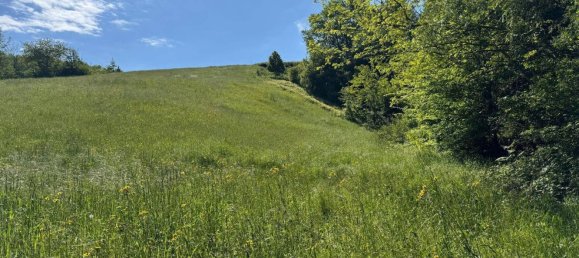 84770m² Land in Montefortino, Italy No. 297440 24