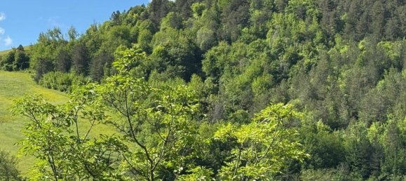 84770m² Land in Montefortino, Italy No. 297440 3