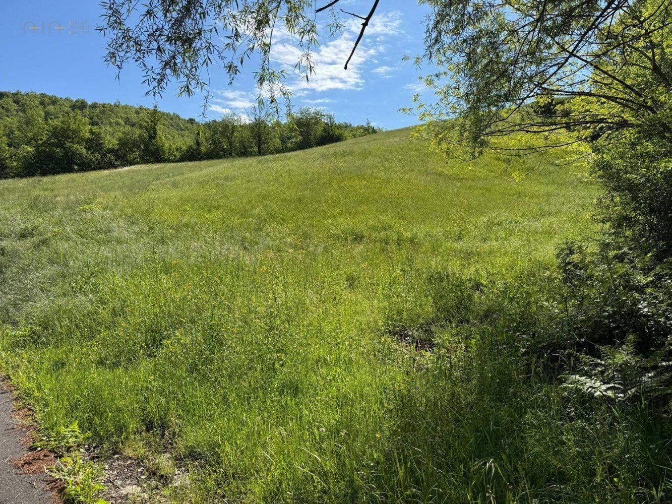 84770m² Land in Montefortino, Italy No. 297440