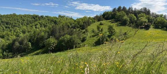 84770m² Land in Montefortino, Italy No. 297440 22