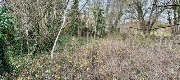 Casa de 3 dormitorios en Ottmarsheim, France No. 84450 3