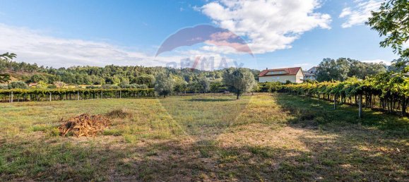 3 Schlafzimmer Schlösser in Ponte de Lima, Portugal, Nr. 189426 15