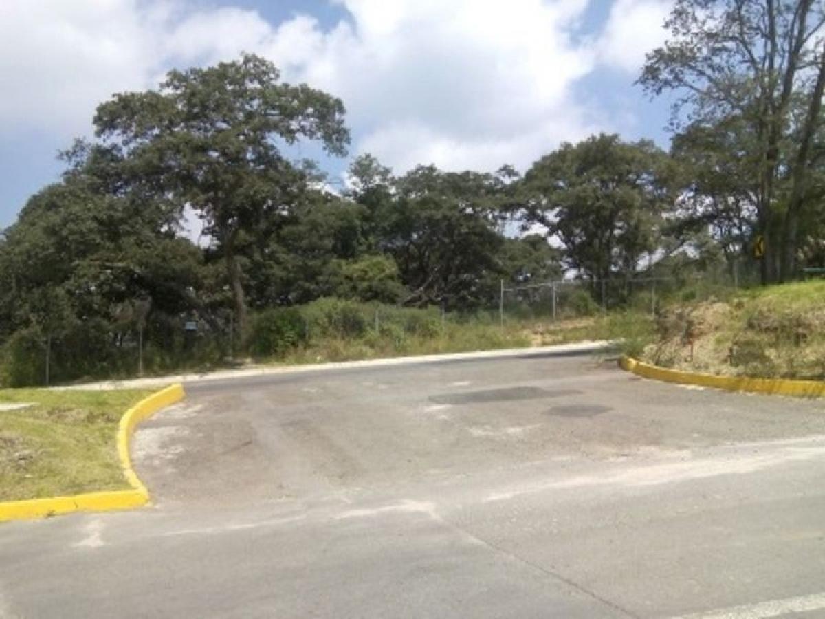  قطعة أرض في Ciudad Lopez Mateos, Mexico رقم 204459