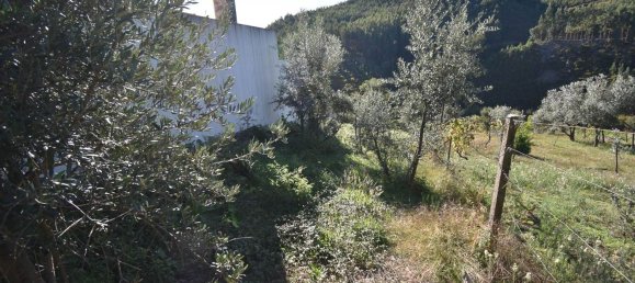 3 bedrooms House in Alvares, Portugal No. 78508 19