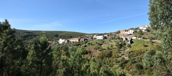 3 bedrooms House in Alvares, Portugal No. 78508 23