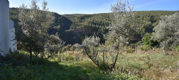 3 bedrooms House in Alvares, Portugal No. 78508 20