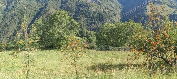 Земельный участок в Горно, Италия № 372429 4