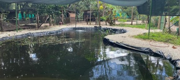 5 bedrooms House in Nicoya, Costa Rica No. 215 4