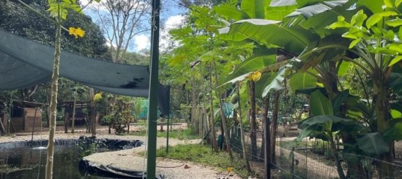 5 bedrooms House in Nicoya, Costa Rica No. 215 5