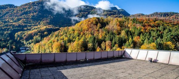 Studio in Bad Ischl, Austria No. 244043 12